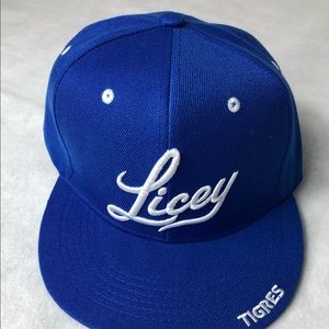 Brand New Dominican Baseball Team Tigres del Licey
